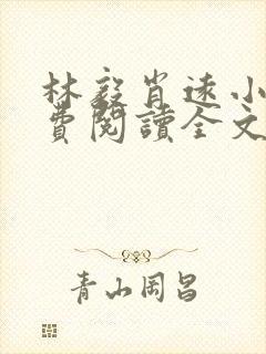 林毅肖远小说免费阅读全文最新章节封面