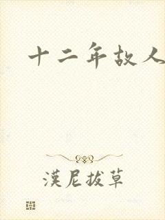十二年故人戏