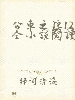 公车之狼12集全小说阅读