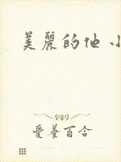 美丽的他 小说封面