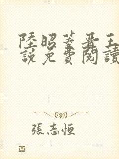 陆昭菱晋王的小说免费阅读