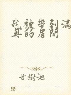 我被带到满是玩具的房间