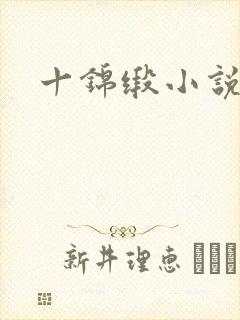 十锦缎小说