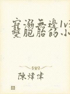 宠溺无边1v3双胞胎的小说