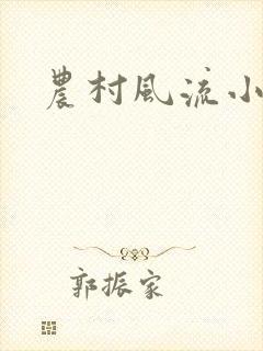 农村风流小说封面