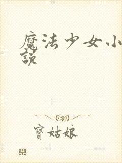 魔法少女小圆小说