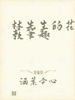 林先生的花式管教笔趣