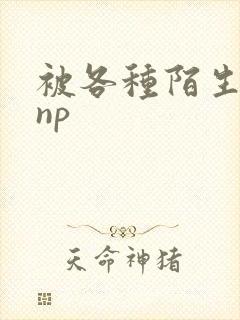 被各种陌生人 np封面