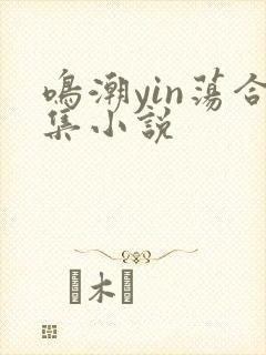 鸣潮yin荡合集小说
