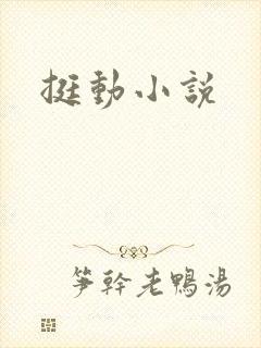 挺动小说