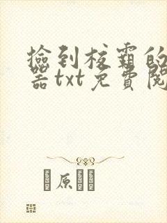 捡到校霸的遥控器txt免费阅读