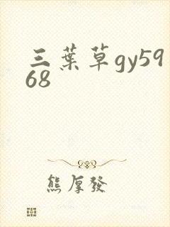 三叶草gy5968封面