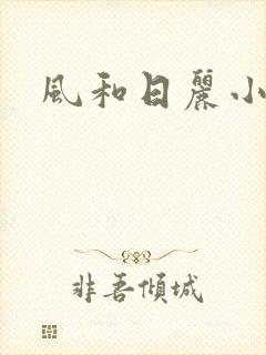 风和日丽小说