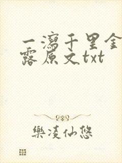 一泻千里金银花露原文txt封面