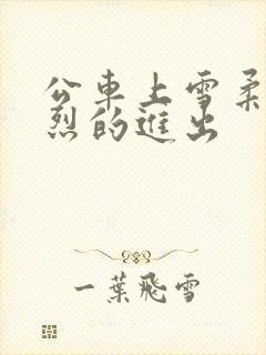 公车上雪柔被猛烈的进出