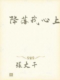 降落我心上封面