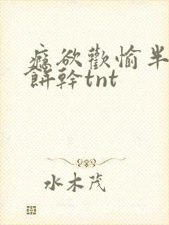 瘾欲欢愉半块小饼干tnt