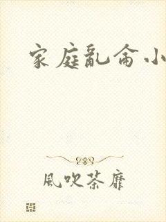 家庭乱仑小说封面