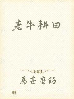 老牛耕田