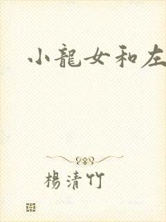 小龙女和左剑清封面