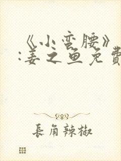 《小蛮腰》作者:姜之鱼免费阅读