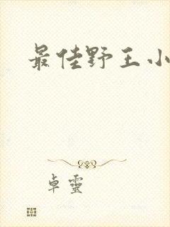 最佳野王小说封面