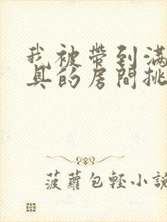 我被带到满是玩具的房间挑调游戏