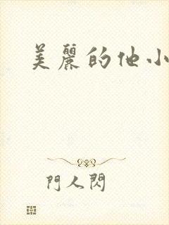 美丽的他小说