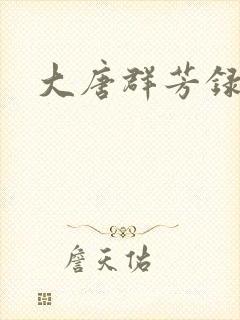 大唐群芳录封面