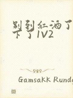 别到红酒了装不下了1V2