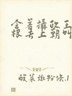 含着摄政王的紫根去上朝叫什么封面