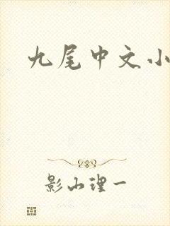 九尾中文小说网