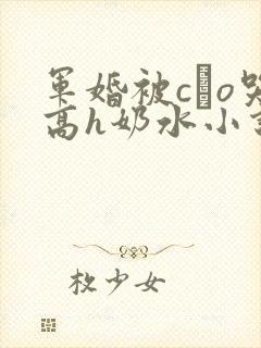 军婚被cαo哭高h奶水小说封面