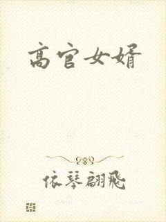 高官女婿封面