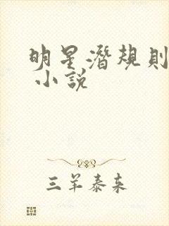 明星潜规则之皇 小说