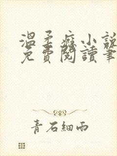 温柔瘾小说全文免费阅读笔趣阁封面