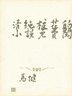 清纯校花的秘密小说免费阅读