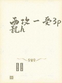 两攻一受3p双龙h