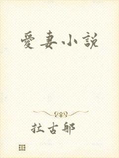 爱妻小说