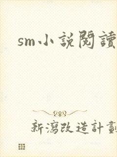 sm小说阅读封面