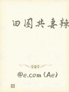 田园共妻辣