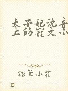 太子妃沈音和皇上的宠文小说