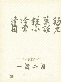 清冷校草的堕落日常小说免费阅读封面