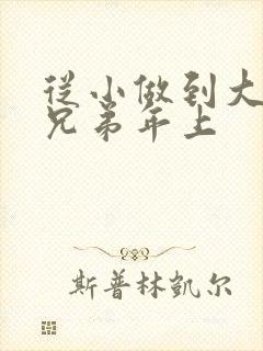 从小做到大骨科兄弟年上