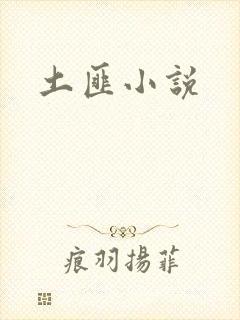 土匪小说封面