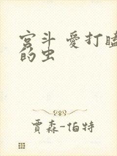 宫斗 爱打瞌睡的虫封面