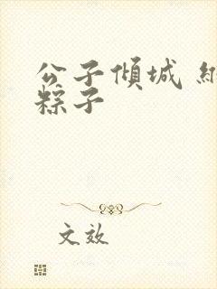 公子倾城 维和粽子