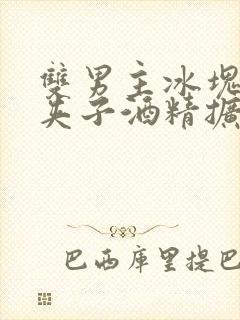 双男主冰块棉签夹子酒精扩张器封面