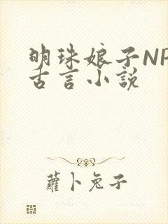 明珠娘子NPC古言小说