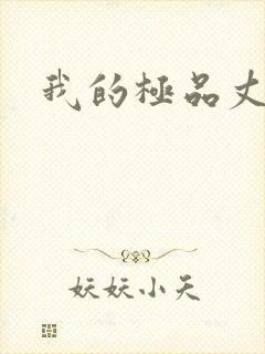 我的极品丈母娘